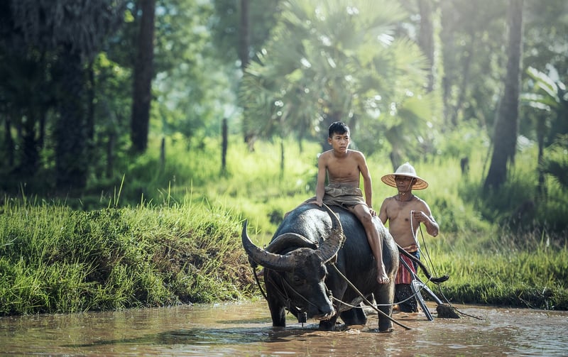 Sustainable Agriculture